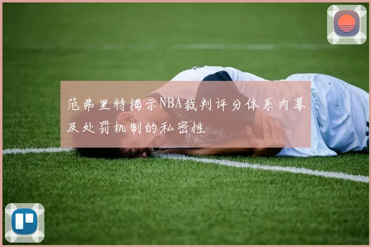 范弗里特揭示NBA裁判评分体系内幕及处罚机制的私密性